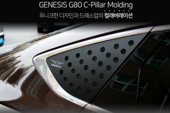 �������� ������ �������� Genesis G80 RG3 Cayman