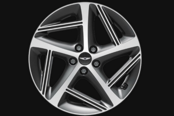 ���� �������� Genesis G80 RG3 ������������ R19