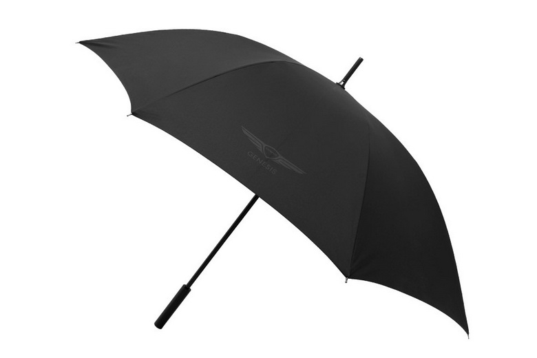 ���� Genesis ���������� ������������