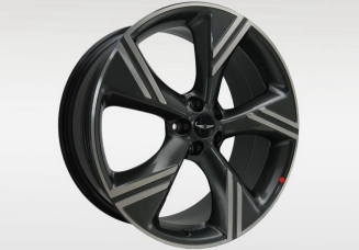 ���� ������ Genesis GV80 ������������ Mobis R22