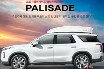 �������� Hyundai Palisade ������������