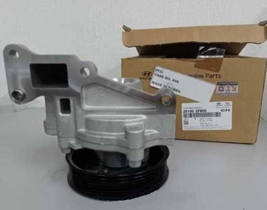 ������� ����� Hyundai Palisade ������ 2.2 Mobis 251002F800