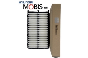 ������ ��������� Hyundai Santa Fe 5  ������ 2.5 Mobis