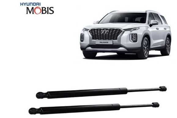 ����������� ������ ��������� Hyundai Palisade