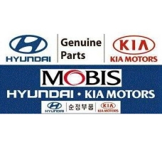   Hyundai, KIA 2454252000 