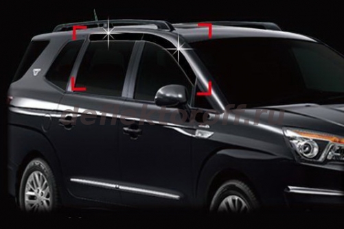 ���������� ������� ���� Ssang Yong Stavic autoclover