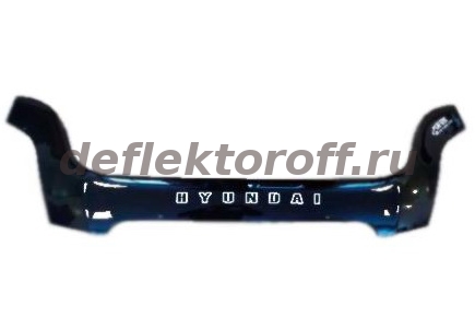 ��������� ������ Hyundai Starex I 2004-2007 vip