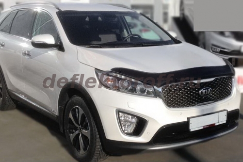 ��������� ������ KIA Sorento Prime sim