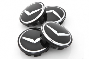 �������� � �������� ����� Hyundai Santa Fe IV eagles