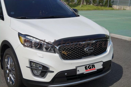��������� ������ KIA Sorento Prime egr