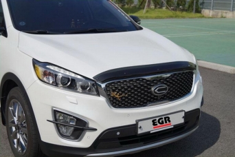 ��������� ������ KIA Sorento Prime egr