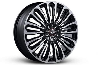 ���� �������� Hyundai Palisade ������������ Tuix chrom