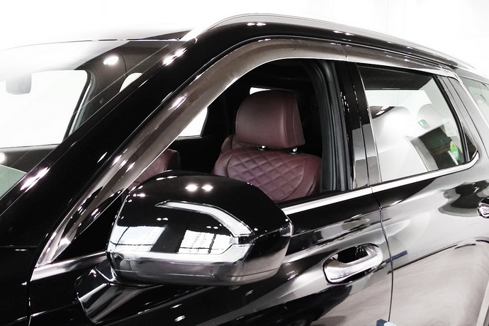 ���������� ������� ���� Hyundai Palisade ������������� 6 ������