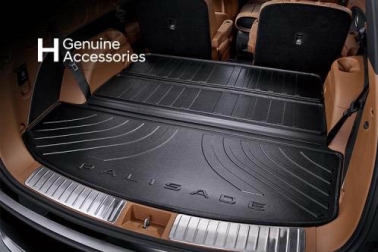 ������ � �������� Hyundai Palisade LX3 ������������ Mobis