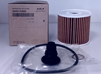 ������ �������� Hyundai Tucson 4 1.6 ������ Mobis 263202U000